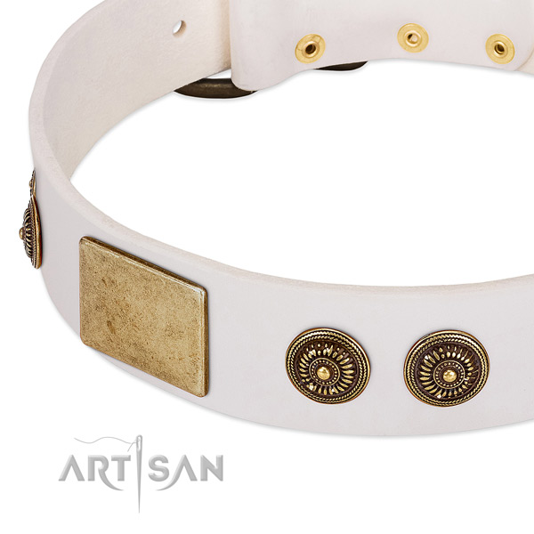Remarkable dog collar handcrafted for your stylish canine