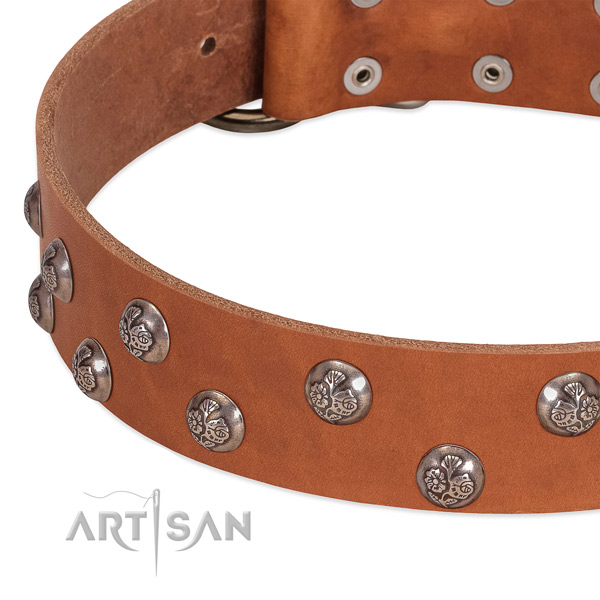 Full grain natural leather dog collar with durable fittings and adornments