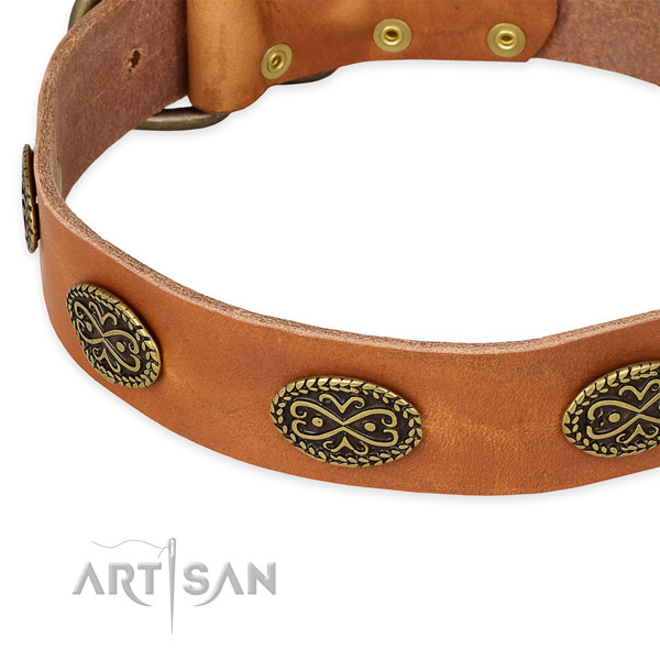 Stylish design genuine leather collar for your beautiful four-legged friend