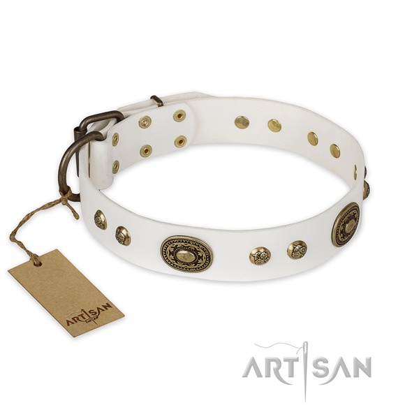 Exquisite leather dog collar for basic training