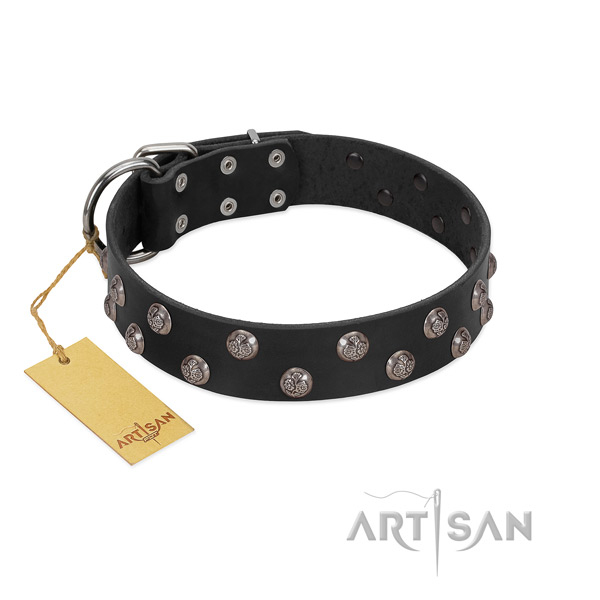 High quality genuine leather dog collar with decorations