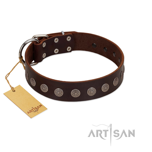 Fashionable leather collar for your pet