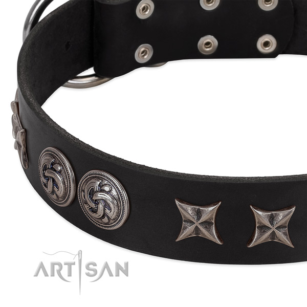 Genuine leather collar with inimitable embellishments for your dog