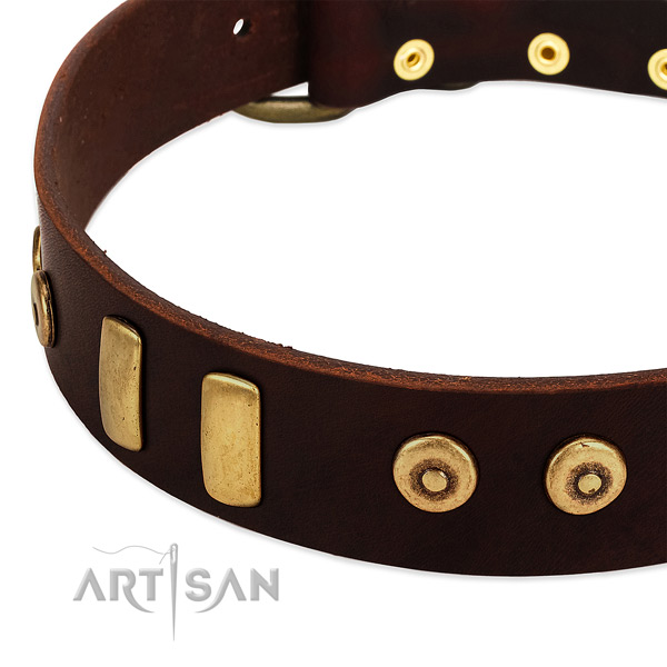 Top rate full grain leather collar with unique adornments for your dog