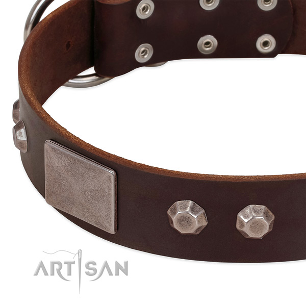 Everyday use quality full grain natural leather dog collar