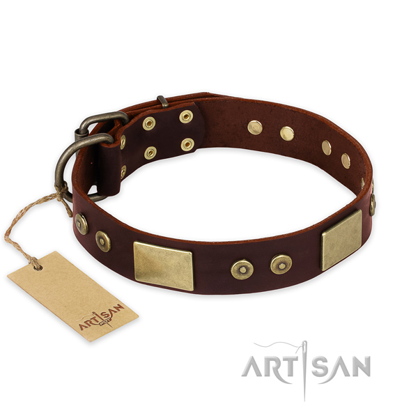 Significant natural genuine leather dog collar for everyday use