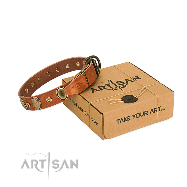 Soft full grain leather collar handmade for your canine