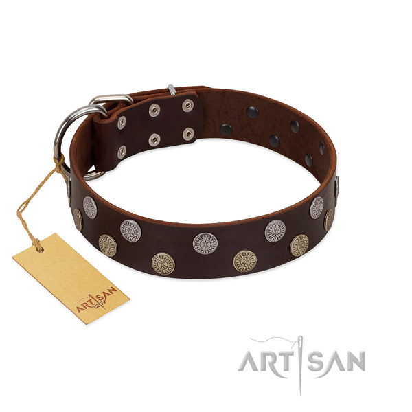 Natural leather dog collar with fashionable decorations for your pet