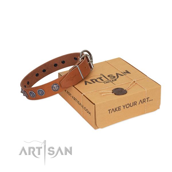 Corrosion proof D-ring on genuine leather dog collar for basic training your four-legged friend