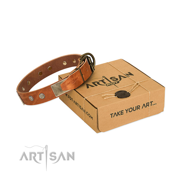 Reliable adornments on dog collar for comfortable wearing