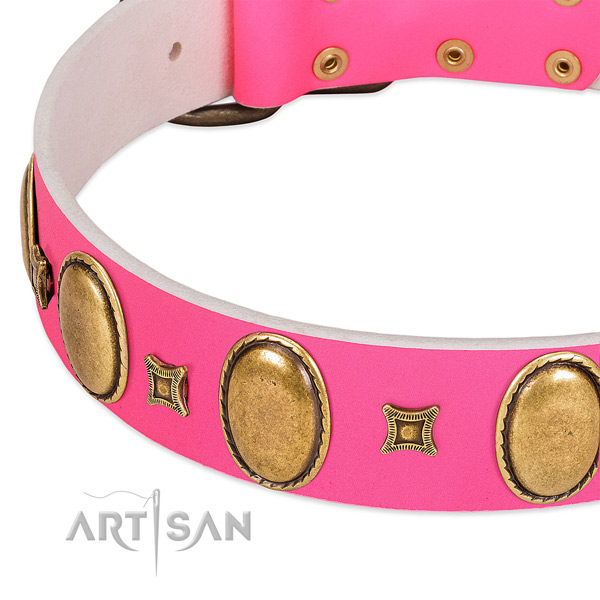 Soft leather dog collar with embellishments for daily walking