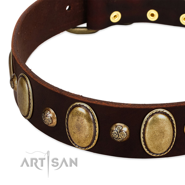 Full grain genuine leather dog collar with stunning embellishments