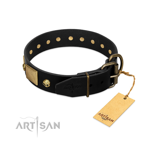 Durable hardware on daily walking collar for your pet