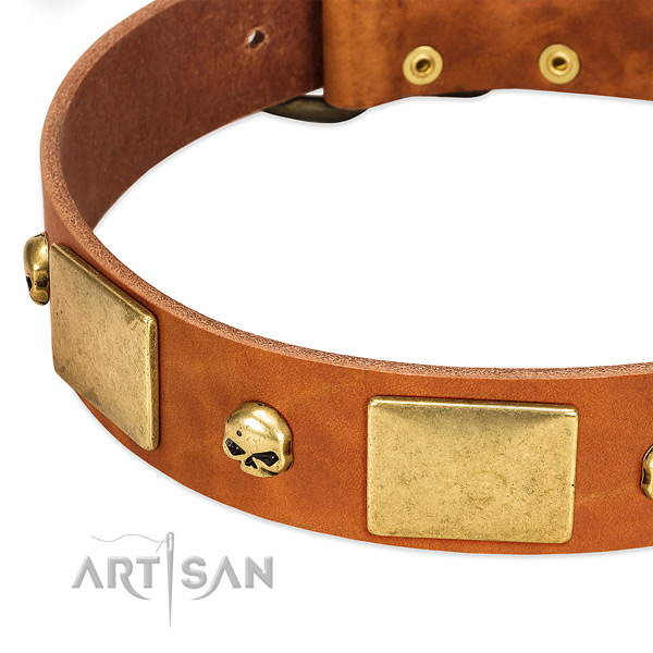 Quality leather dog collar with rust-proof traditional buckle