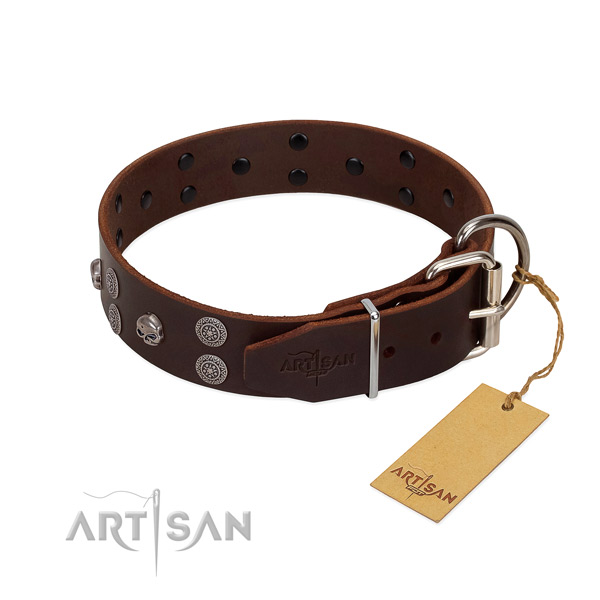 Quality full grain leather dog collar with embellishments for comfortable wearing