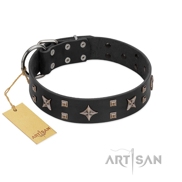 Exquisite leather dog collar with corrosion resistant embellishments