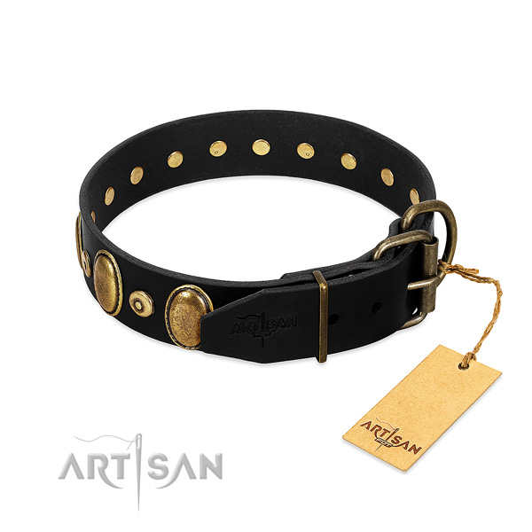 Corrosion proof hardware on everyday walking collar for your pet