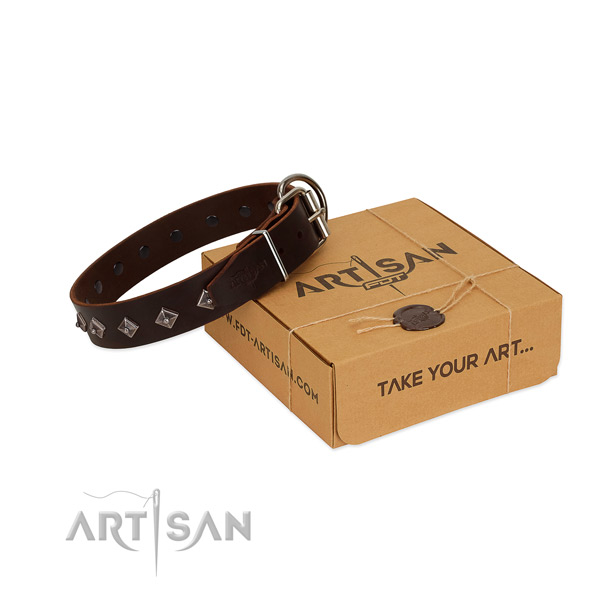 Amazing adornments on full grain leather dog collar for fancy walking