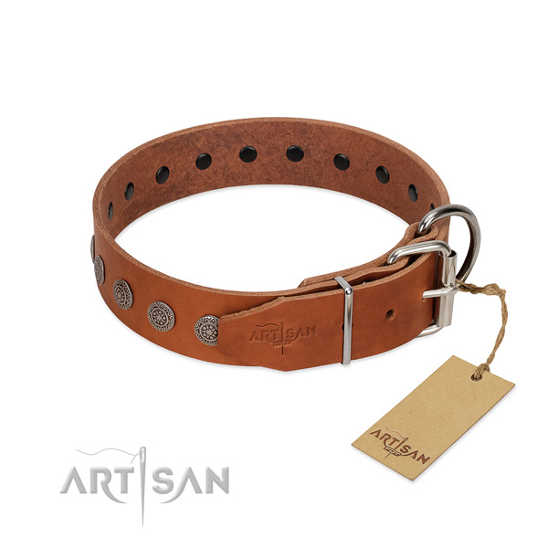 Fashionable studs on natural leather collar for daily use your canine