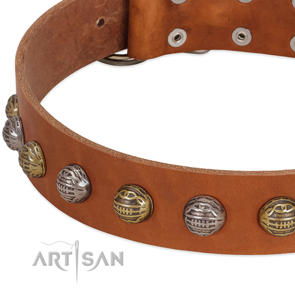 Rust resistant buckle on full grain genuine leather collar for everyday walking your canine