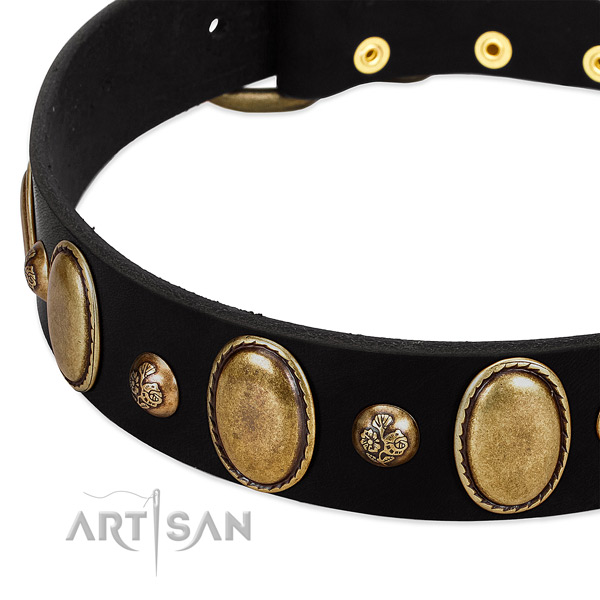 Full grain leather dog collar with unusual adornments