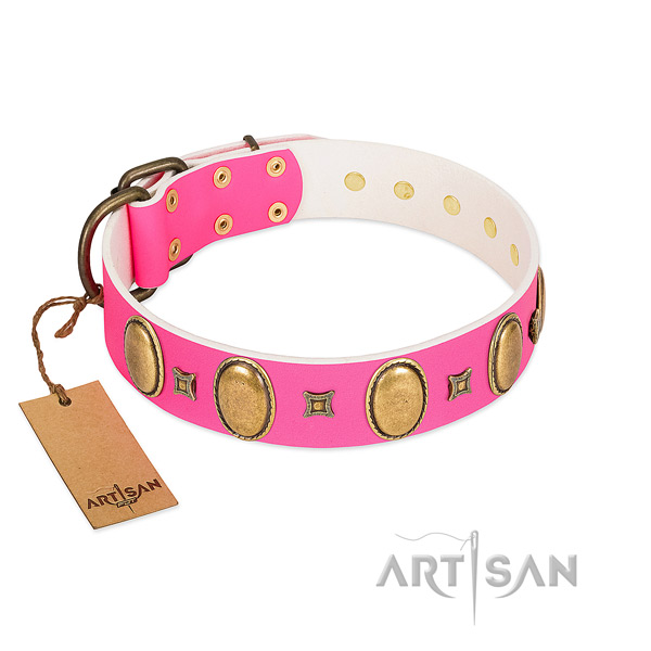 Genuine leather dog collar with stylish decorations for everyday use
