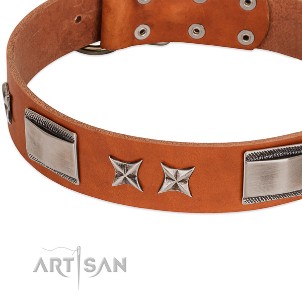 Top notch leather dog collar with durable D-ring