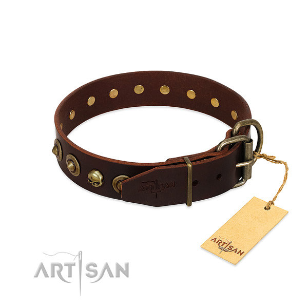 Leather collar with significant studs for your pet