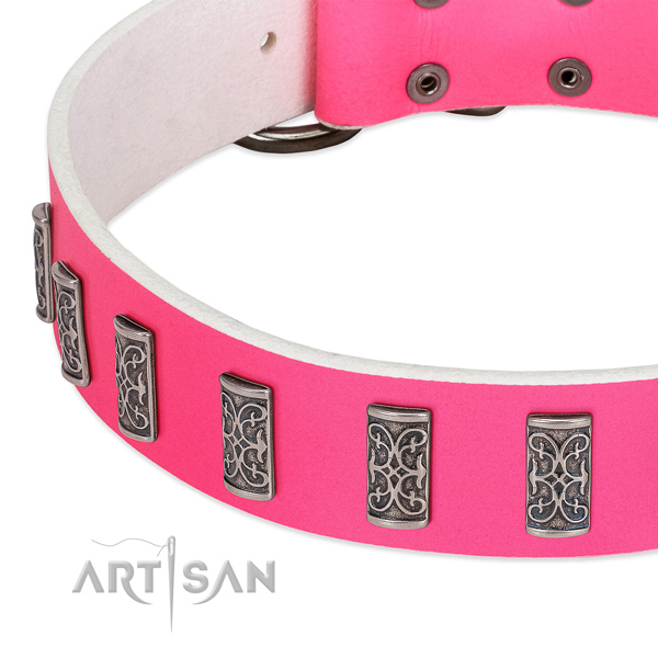 Incredible leather collar for your dog everyday walking