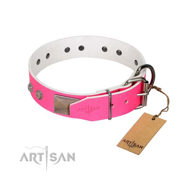 Stylish walking dog collar of leather with fashionable studs