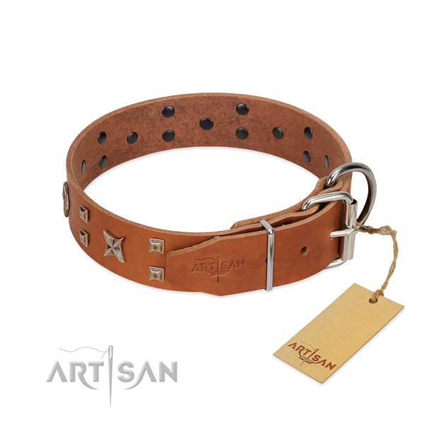 Full grain genuine leather dog collar with decorations for your beautiful canine