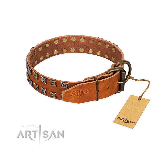 Durable natural leather dog collar created for your canine