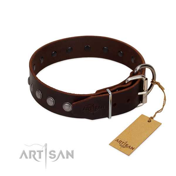 Remarkable full grain leather collar for fancy walking your dog