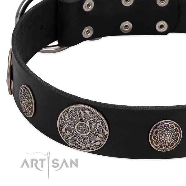 Rust-proof traditional buckle on leather dog collar