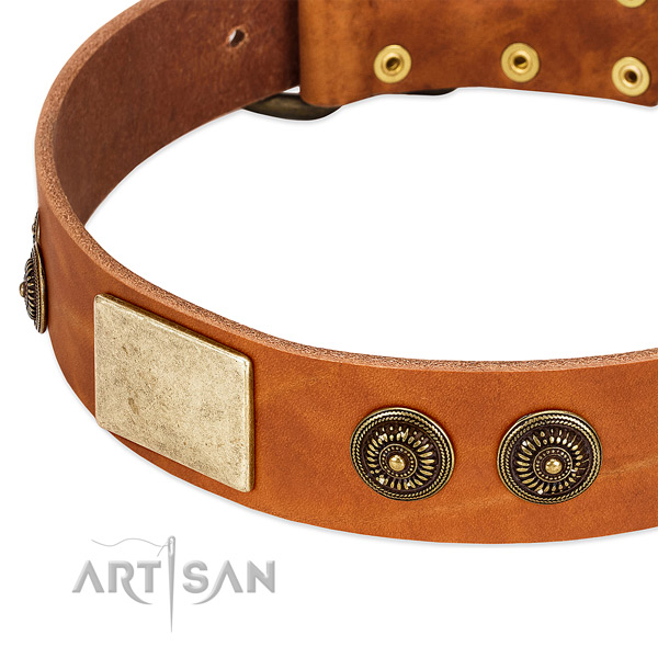 Trendy dog collar created for your handsome four-legged friend