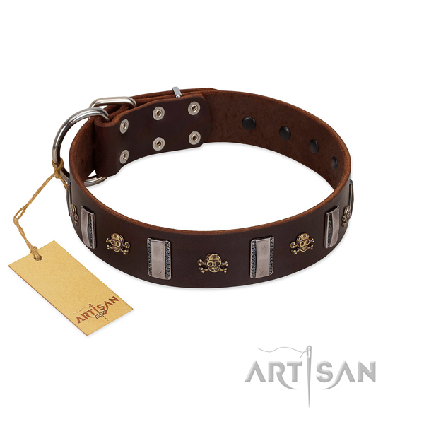 Leather dog collar with designer studs for your canine