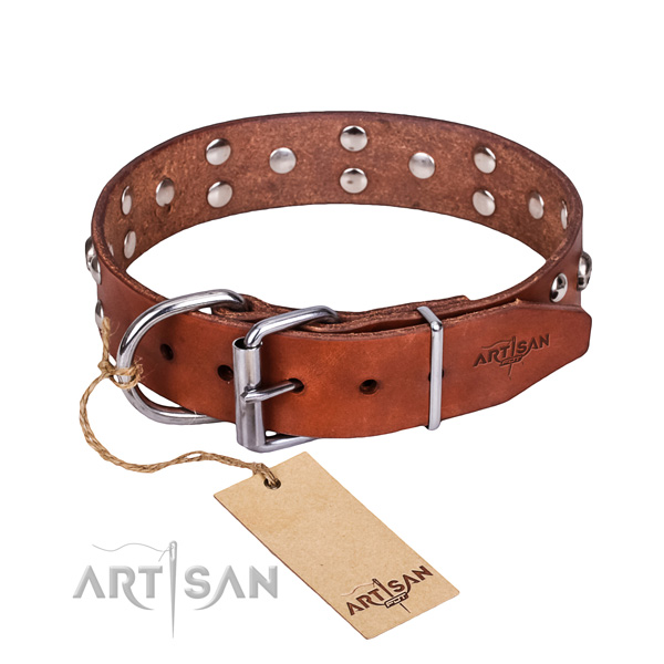 Stylish walking dog collar of top notch full grain leather with embellishments