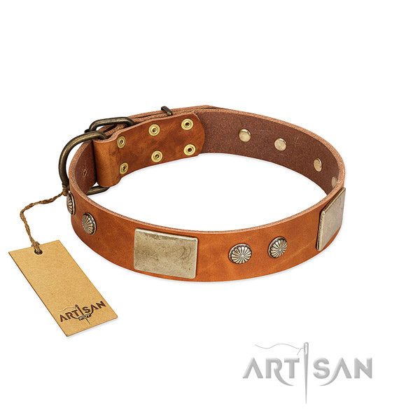 Easy to adjust natural genuine leather dog collar for walking your dog