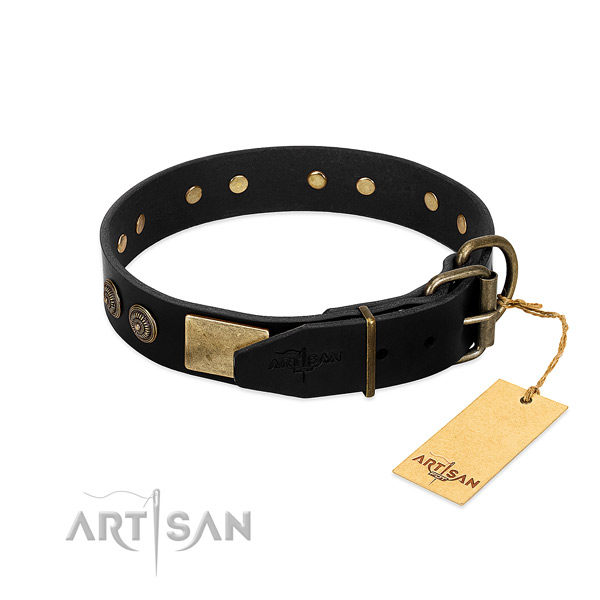 Rust-proof buckle on full grain leather dog collar for your pet