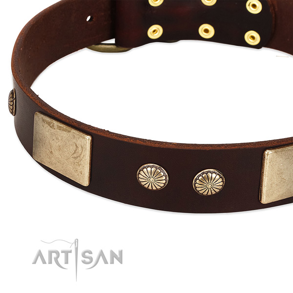 Rust-proof hardware on full grain natural leather dog collar for your pet