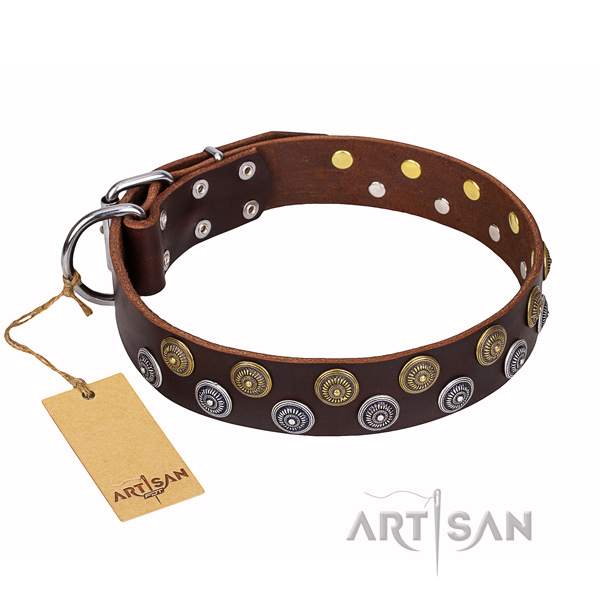 Handy use dog collar of quality full grain natural leather with studs