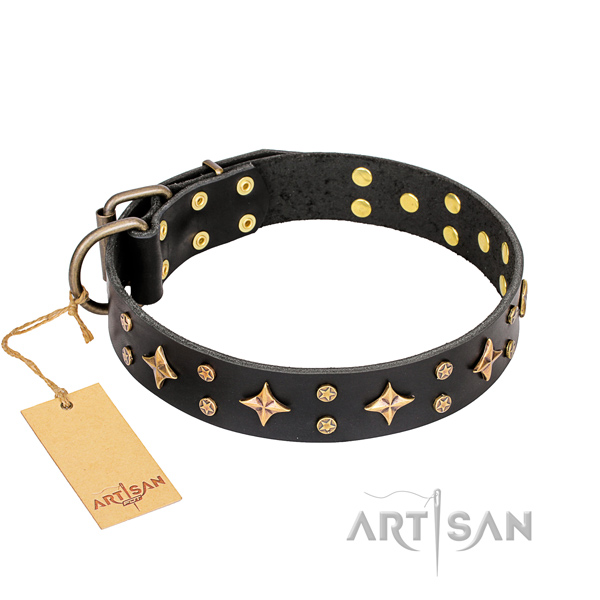 Stylish walking dog collar of reliable full grain leather with studs