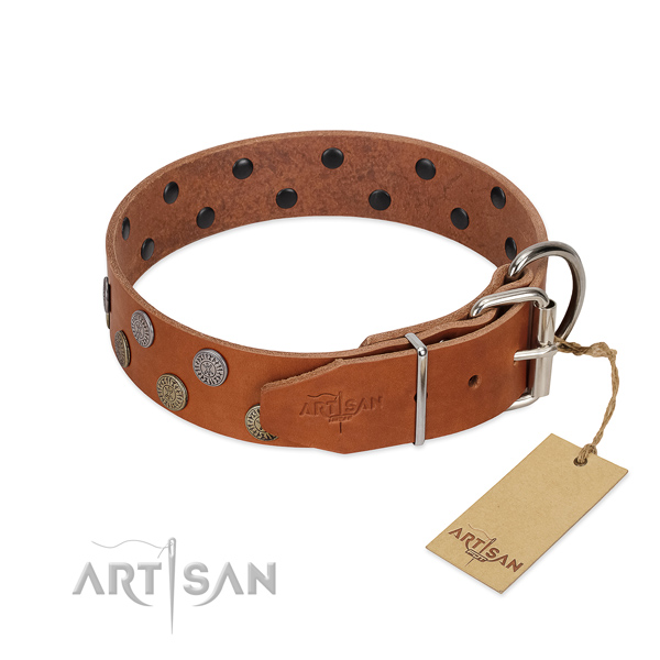 Strong buckle on full grain leather dog collar for daily use