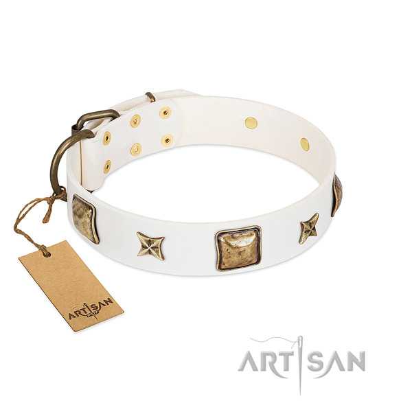 Exquisite leather dog collar for comfy wearing