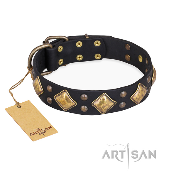 Fancy walking studded dog collar with rust-proof hardware