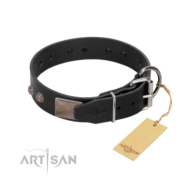 Significant genuine leather dog collar for daily walking your doggie