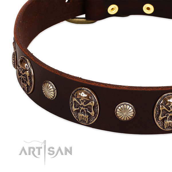 Leather dog collar with adornments for everyday use