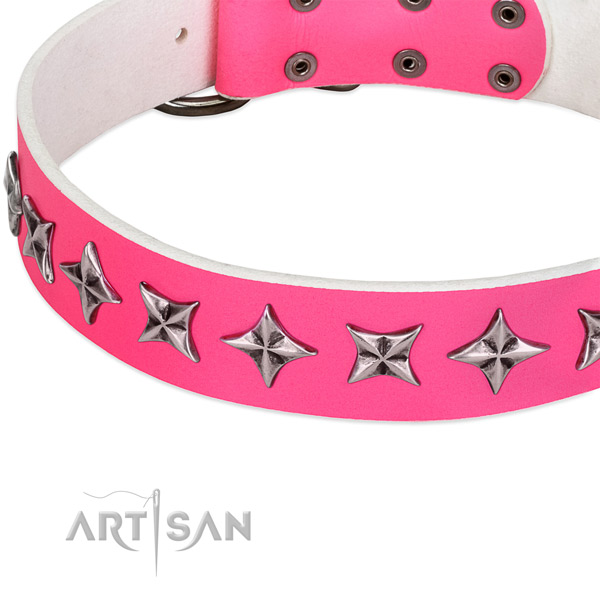 Comfortable wearing studded dog collar of high quality natural leather