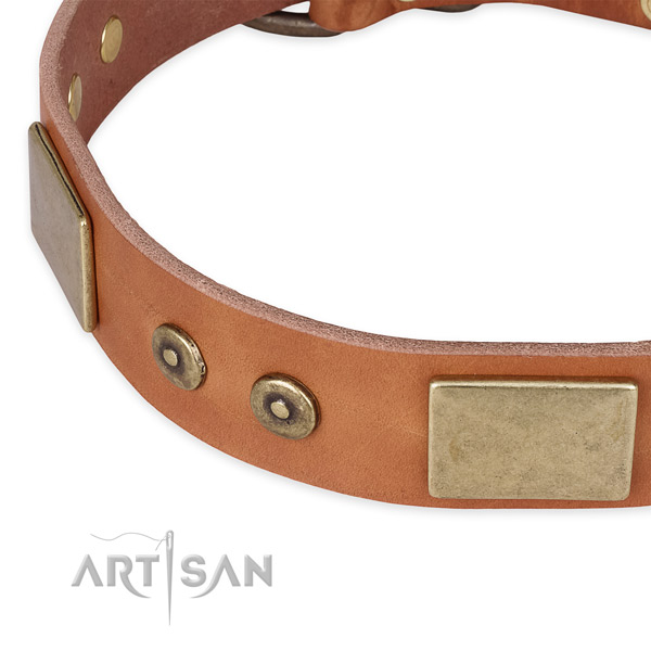 Durable decorations on natural genuine leather dog collar for your doggie