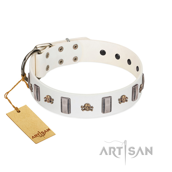 Leather dog collar with stylish studs for your pet